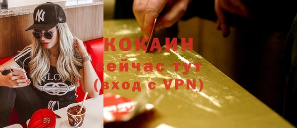 альфа пвп Заволжск