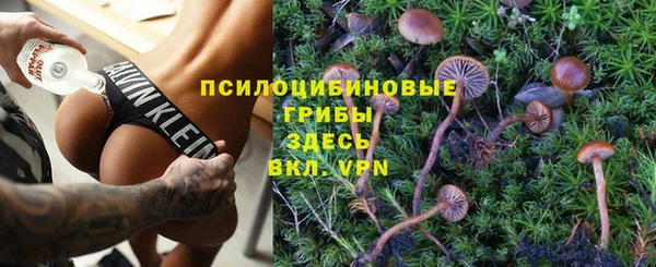 альфа пвп Заволжск