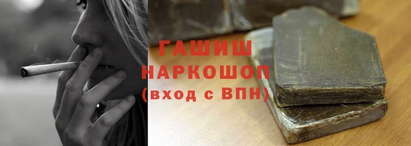 СК Елизово