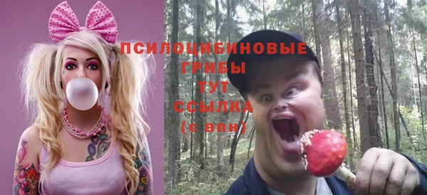 не бодяженный Заводоуковск