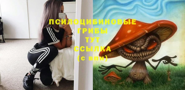 СК Елизово